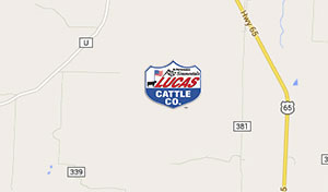 Lucas Cattle Company